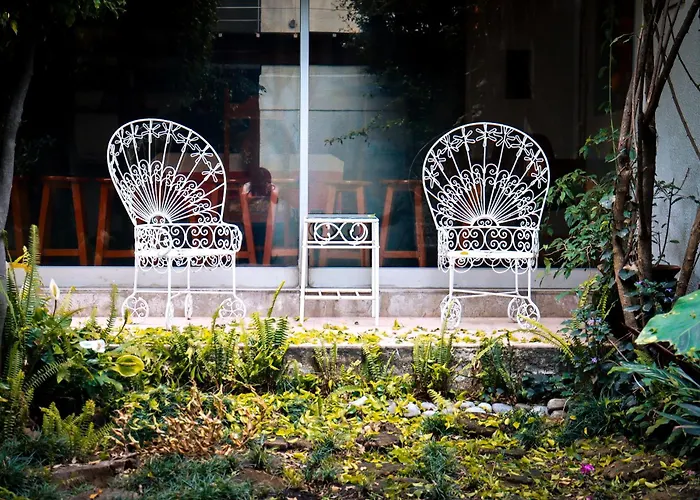 Cuija Coyoacan Berlin 268 CoyoacanHostal